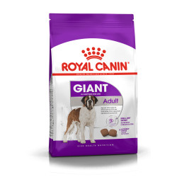 Royal Canin Giant Adult kuivtoit koertele