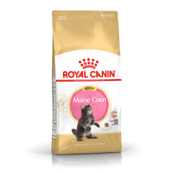 Royal Canin Maine Coon Kitten kuivtoit kassipoegadele #2
