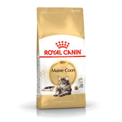 Royal Canin Maine Coon Adult kuivtoit kassidele