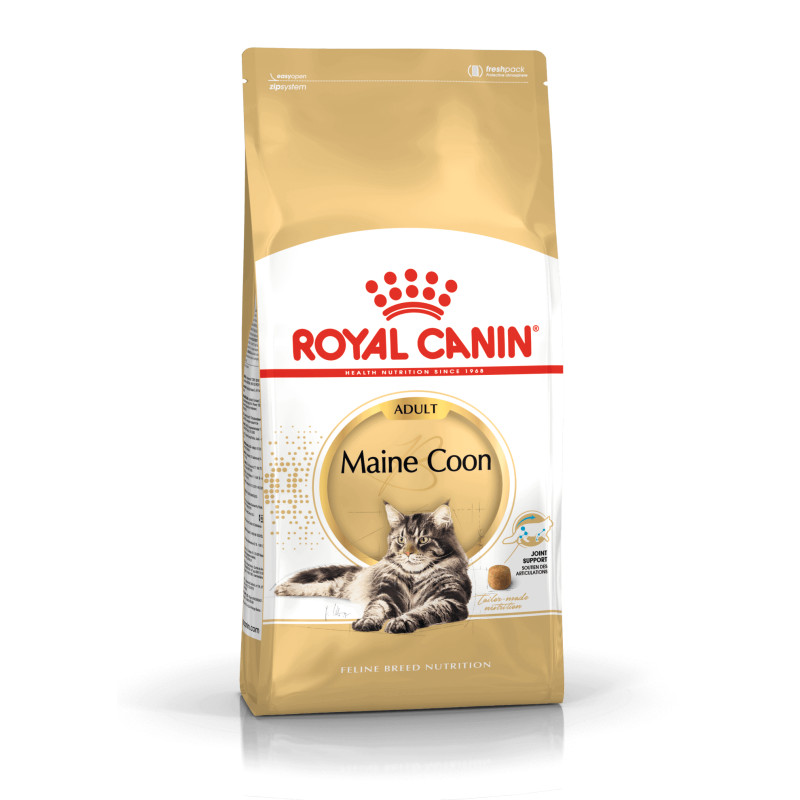 Royal Canin Maine Coon Adult kuivtoit kassidele