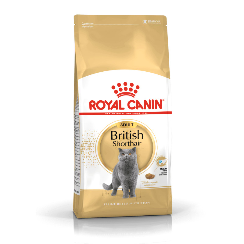 Royal Canin British Shorthair kuivtoit kassidele