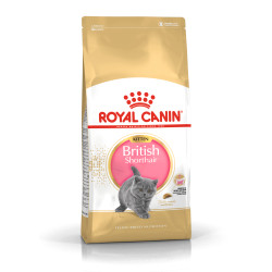 Royal Canin British Shorthair Kitten kuivtoit kassipoegadele
