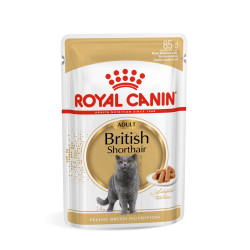 Royal Canin British Shorthair eine kassidele