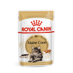 Royal Canin Maine Coon eine kassidele