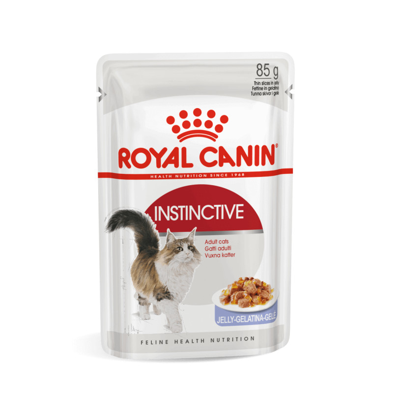 Royal Canin Instinctive in Jelly eine kassidele