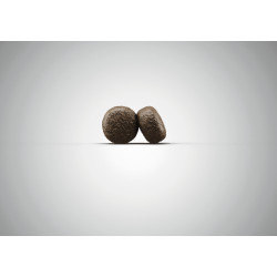 Josera Lamb & Rice kuivtoit koertele