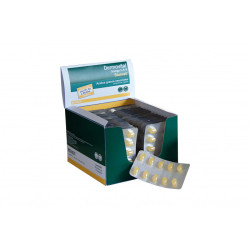 Stangest Dermovital Omega 3-6-9 toidulisandid koertele ja kassidele - Bosse.ee