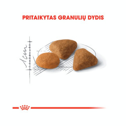 Royal Canin Savour Exigent kuivtoit kassidele - Bosse.ee