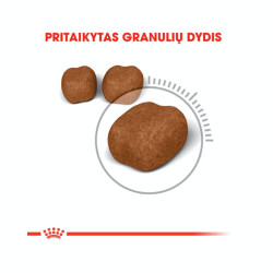 Royal Canin Oral Care kuivtoit kassidele - Bosse.ee