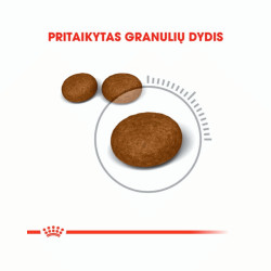 Royal Canin Hair & Skin Care kuivtoit kassidele - Bosse.ee
