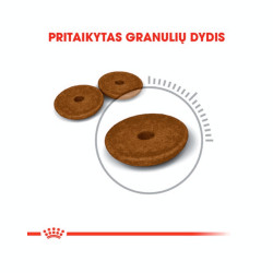 Royal Canin Digestive Care kuivtoit kassidele - Bosse.ee