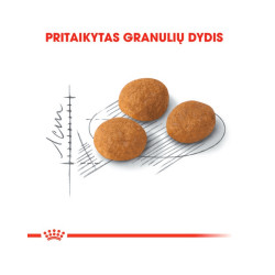Royal Canin Aroma Exigent kuivtoit kassidele - Bosse.ee