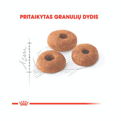 Royal Canin Fit kuivtoit kassidele - Bosse.ee
