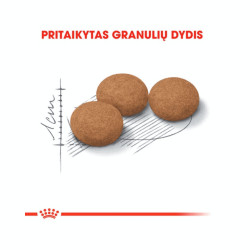 Royal Canin Aging Sterilised 12+ kuivtoit kassidele - Bosse.ee