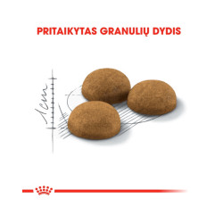 Royal Canin Indoor Long Hair kuivtoit kassidele - Bosse.ee