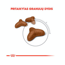Royal Canin Light Weight Care kuivtoit kassidele - Bosse.ee