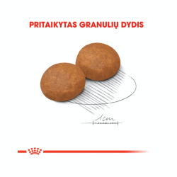 Royal Canin Maxi Adult 5+ kuivtoit koertele - Bosse.ee