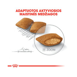 Royal Canin Mini Exigent kuivtoit koertele - Bosse.ee
