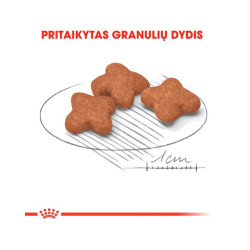 Royal Canin Mini Adult 8+ kuivtoit koertele - Bosse.ee