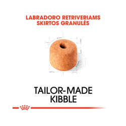 Royal Canin Labrador Retriever Adult kuivtoit koertele - Bosse.ee