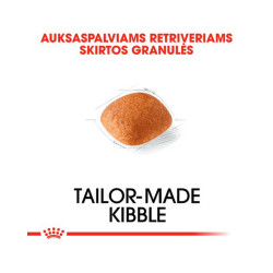 Royal Canin Golden Retriever Adult kuivtoit koertele - Bosse.ee