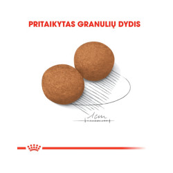 Royal Canin Maxi Adult kuivtoit koertele - Bosse.ee