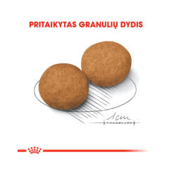 Royal Canin Medium Adult kuivtoit koertele - Bosse.ee