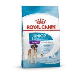 Royal Canin Giant Junior kuivtoit koertele 