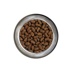 Belcando Adult Grain Free Horse teraviljavaba kuivsööt hobuselihaga koertele - Bosse.ee