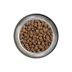 Belcando Finest Grain-Free Senior kuivtoit vanematele koertele - Bosse.ee