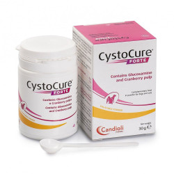 Candioli Cystocure Forte meeldiva maitsega pulber 