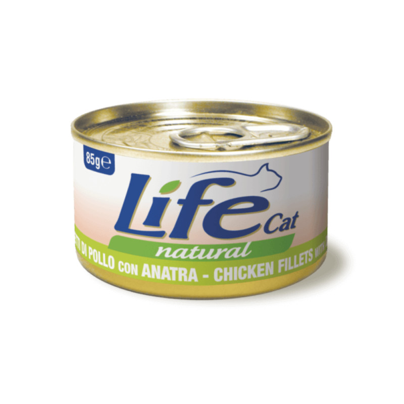 Life Cat eineokotike kassile Kana pardilihaga