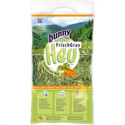 Bunny värske ALPI hein porgandiga