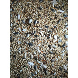 Manitoba  PARAKIITIDE toidusegu 1kg