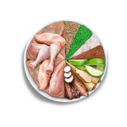 Amanova kuivtoit steriliseeritud kassile kanaga