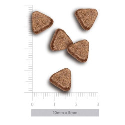 Amanova kuivtoit steriliseeritud kassile lõhega