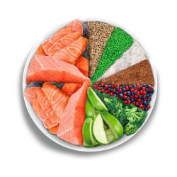 Amanova kuivtoit steriliseeritud kassile lõhega