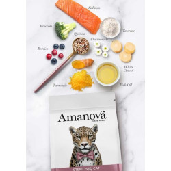 Amanova kuivtoit steriliseeritud kassile lõhega 300g