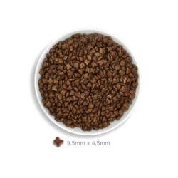 Amanova Kitten kuivtoit kassipojale kanaga 300g