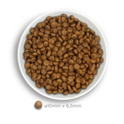 Amanova Mini kuivtoit väikest kasvu koertele 2kg kanaga