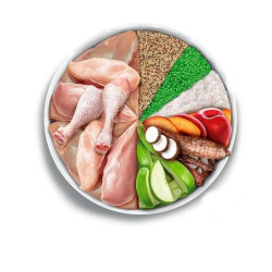 Amanova Mini kuivtoit väikest kasvu koertele kanaga