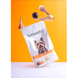 Amanova Mini kuivtoit väikest kasvu koertele 2kg kanaga