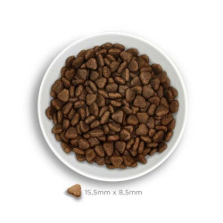 Amanova Sensitive kuivtoit koertele 2kg lambaga