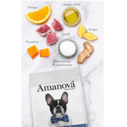 Amanova Sensitive kuivtoit koertele 2kg lambaga