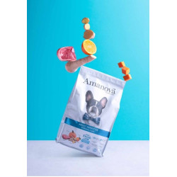 Amanova Sensitive kuivtoit koertele 2kg lambaga