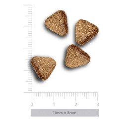 Amanova Sensitive kuivtoit väikest tõugu koerale lõhega