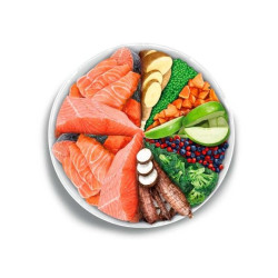 Amanova Sensitive kuivtoit väikest tõugu koerale lõhega