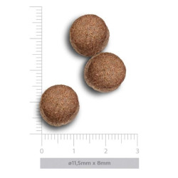 Amanova Large kuivtoit suurt kasvu koertele kanalihaga 12kg