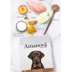 Amanova Large kuivtoit suurt kasvu koertele kanalihaga 12kg