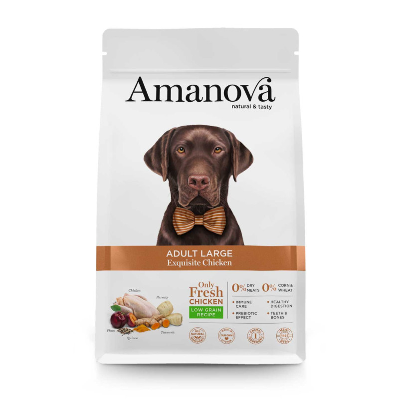 Amanova Large kuivtoit suurt kasvu koertele kanalihaga 12kg